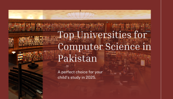Maroon Professional University Profile Presentation